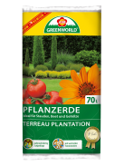 PFLANZERDE